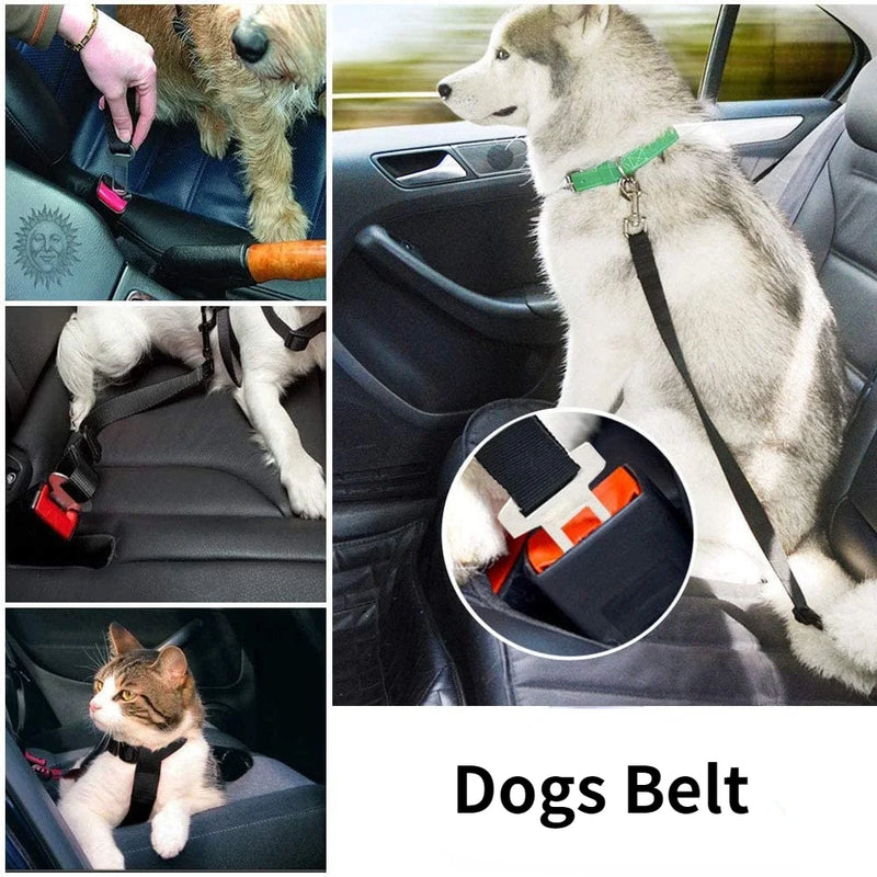 Cinto de segurança para cachorros e gatos