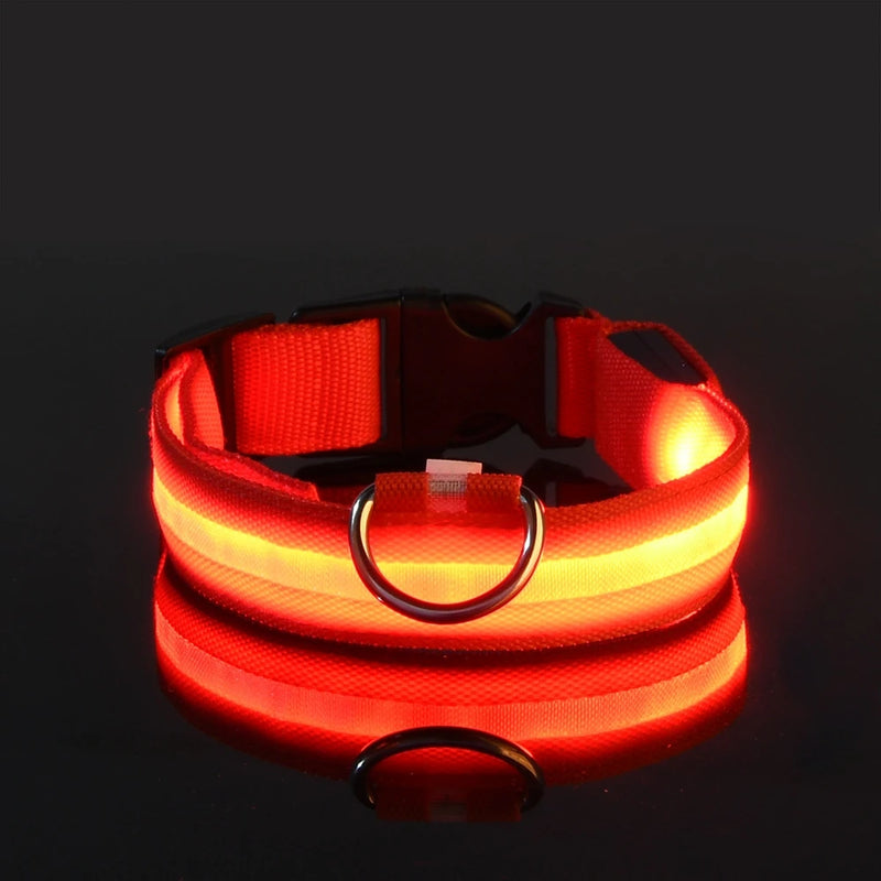 Coleira para cachorro com LED luminoso de noite