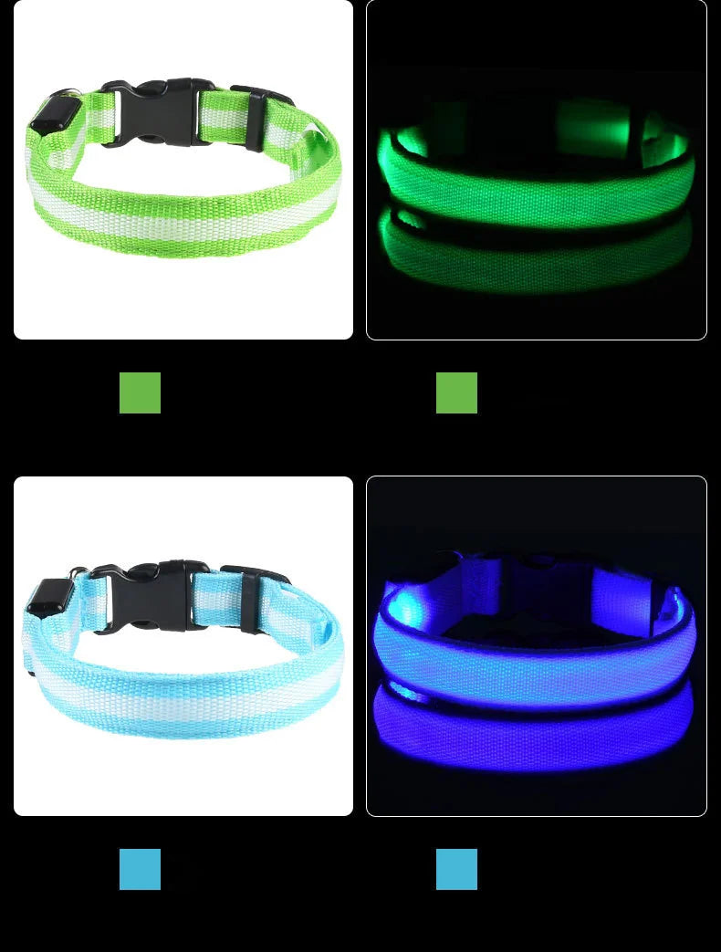 Coleira para cachorro com LED luminoso de noite