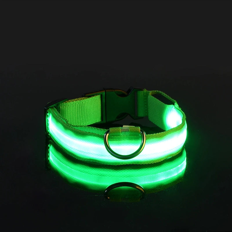 Coleira para cachorro com LED luminoso de noite