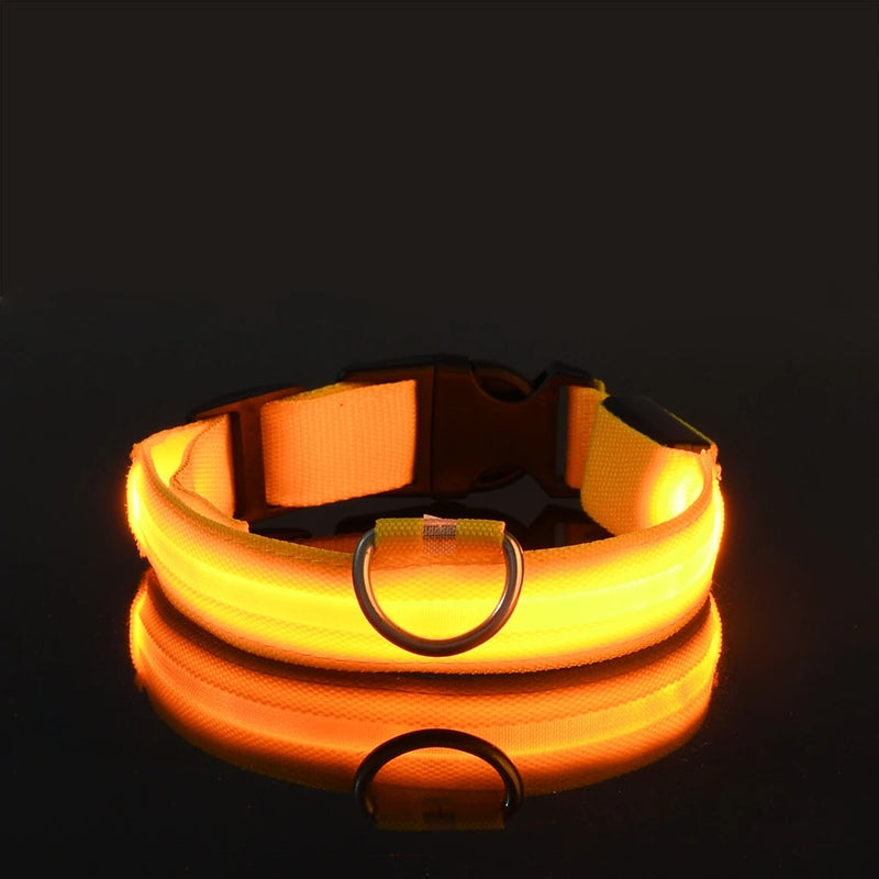 Coleira para cachorro com LED luminoso de noite