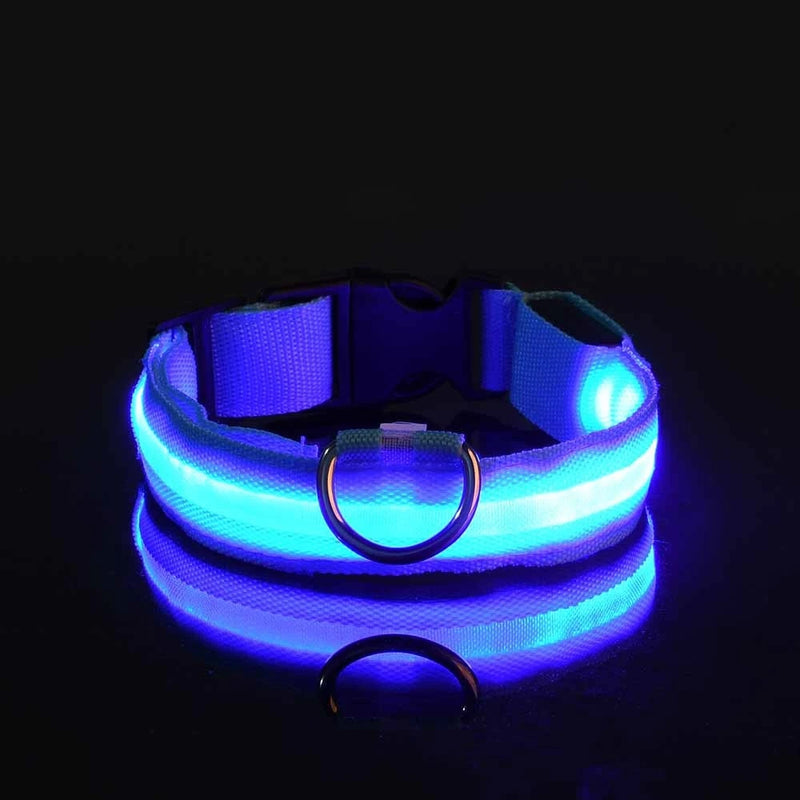 Coleira para cachorro com LED luminoso de noite