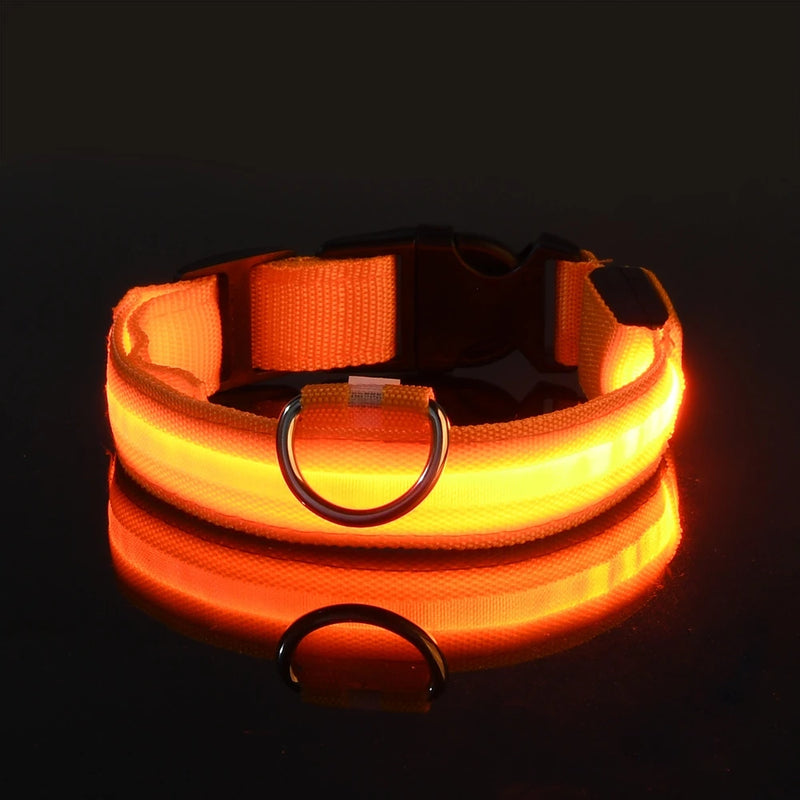 Coleira para cachorro com LED luminoso de noite