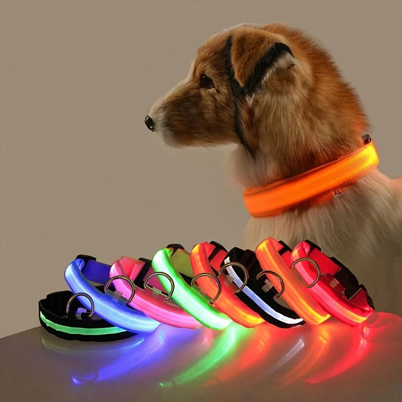 Coleira para cachorro com LED luminoso de noite