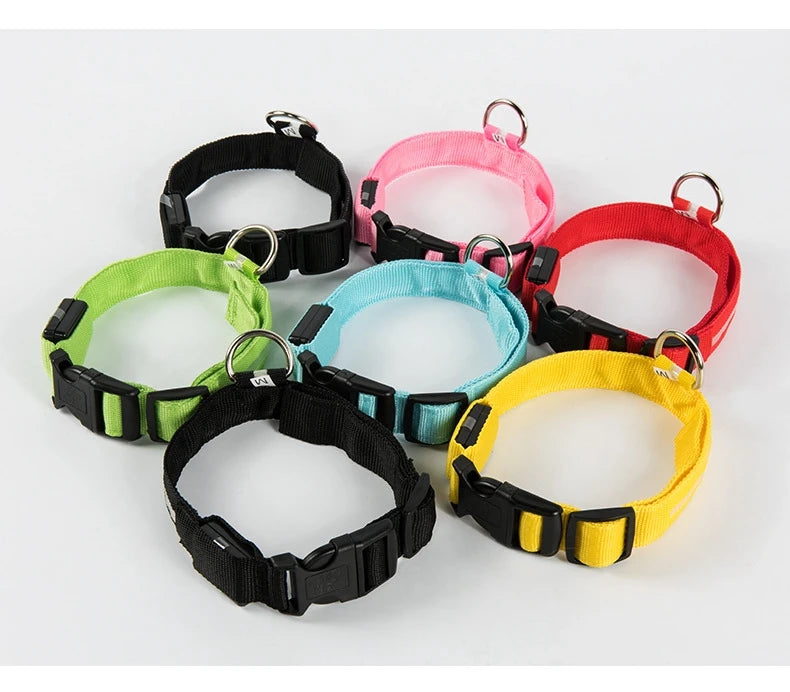 Coleira para cachorro com LED luminoso de noite