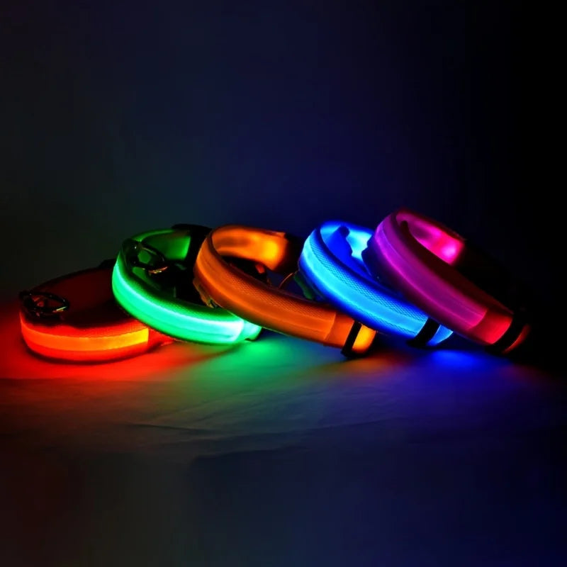 Coleira para cachorro com LED luminoso de noite