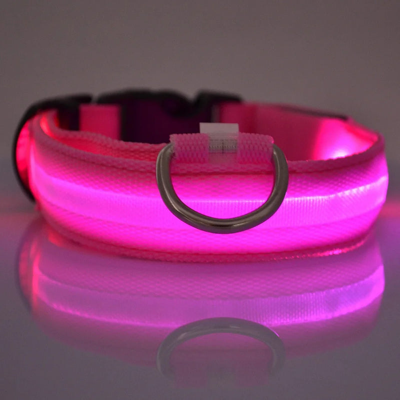 Coleira para cachorro com LED luminoso de noite