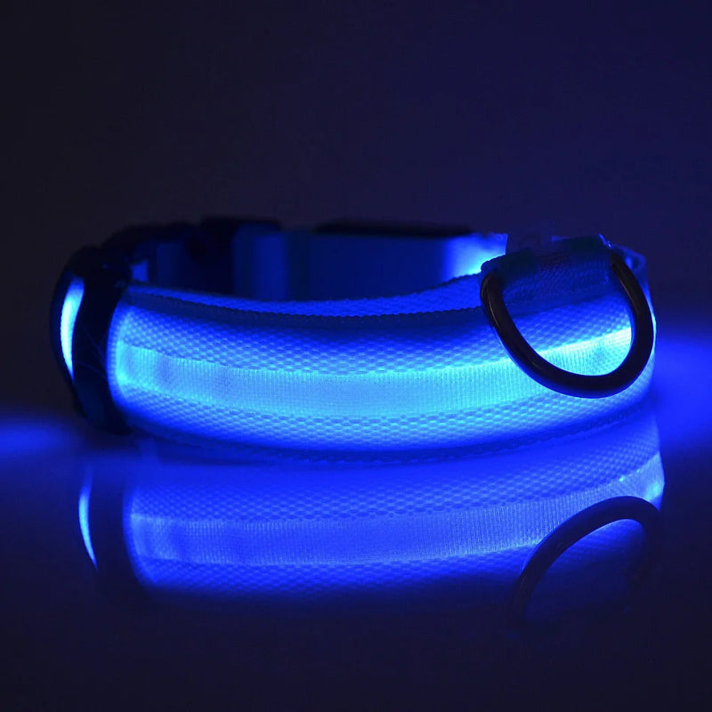 Coleira para cachorro com LED luminoso de noite