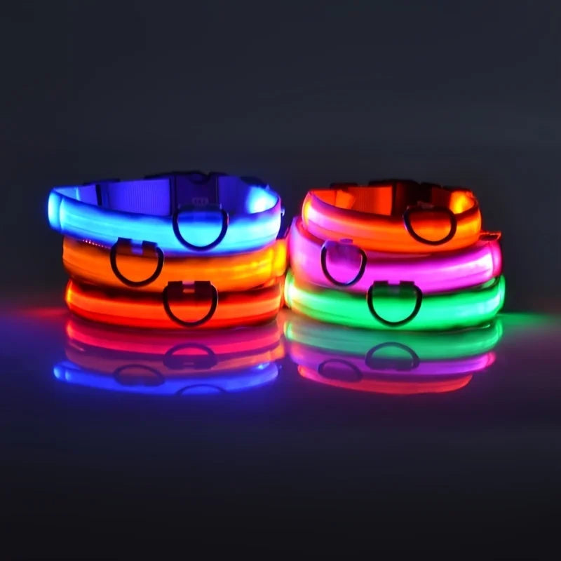 Coleira para cachorro com LED luminoso de noite