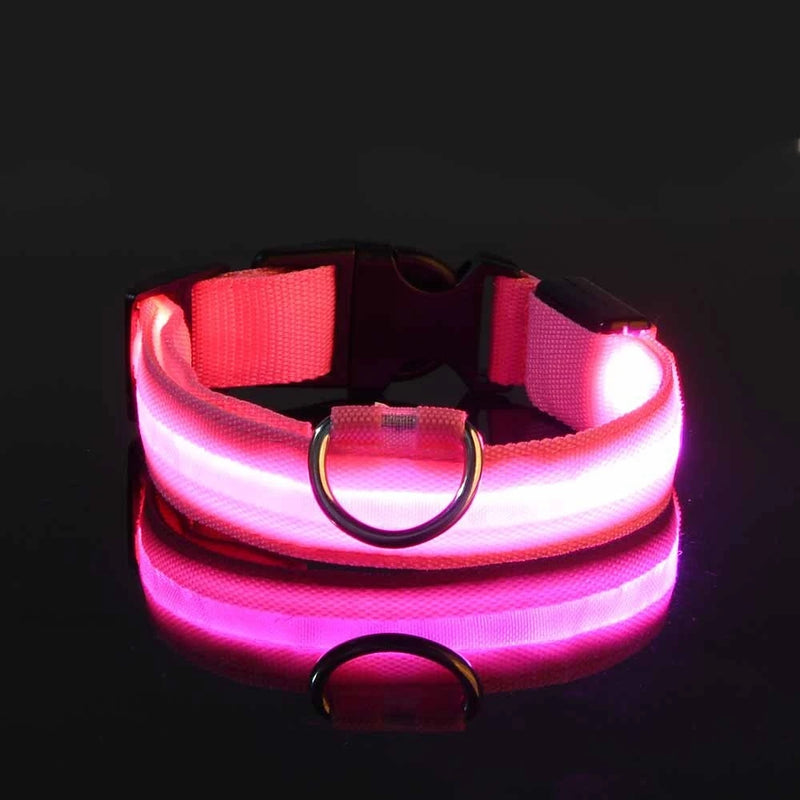 Coleira para cachorro com LED luminoso de noite