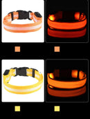 Coleira LED para Cachorro – Visibilidade Noturna e Segurança