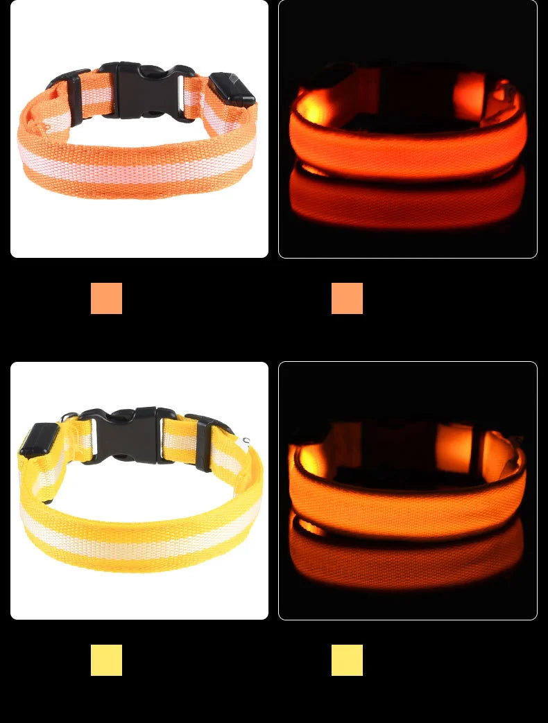 Coleira para cachorro com LED luminoso de noite