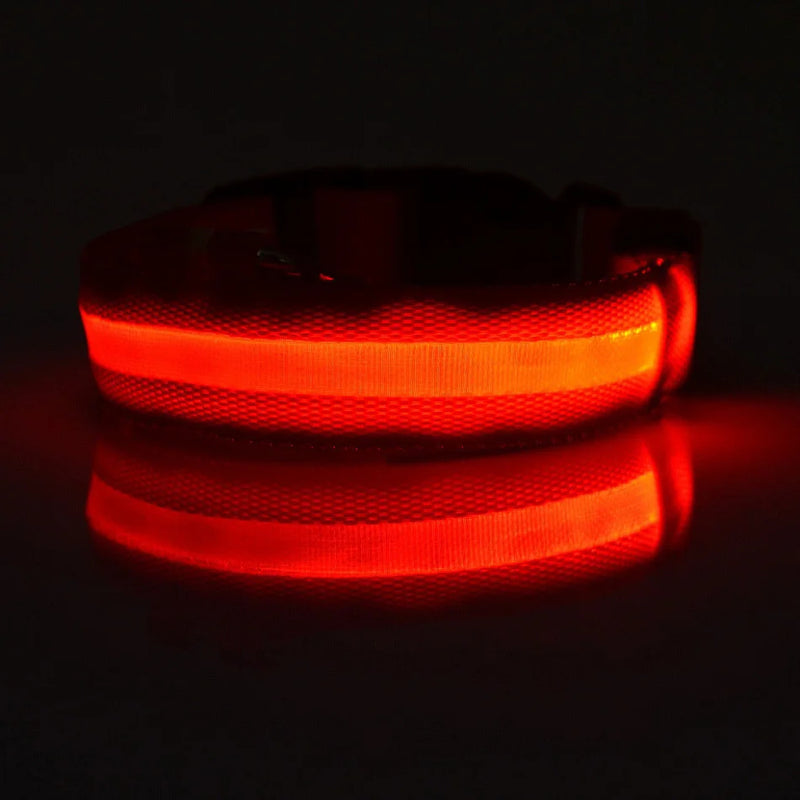 Coleira para cachorro com LED luminoso de noite