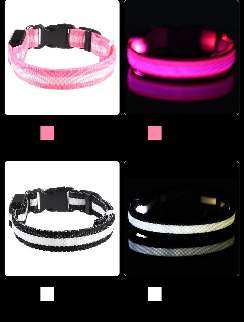 Coleira para cachorro com LED luminoso de noite