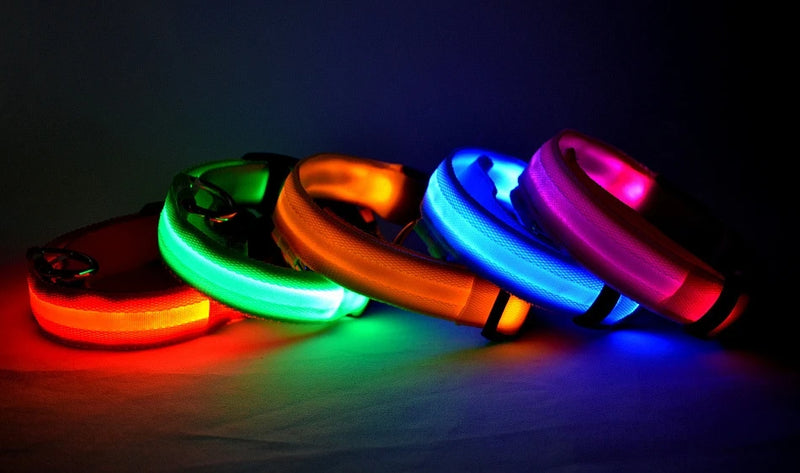 Coleira para cachorro com LED luminoso de noite