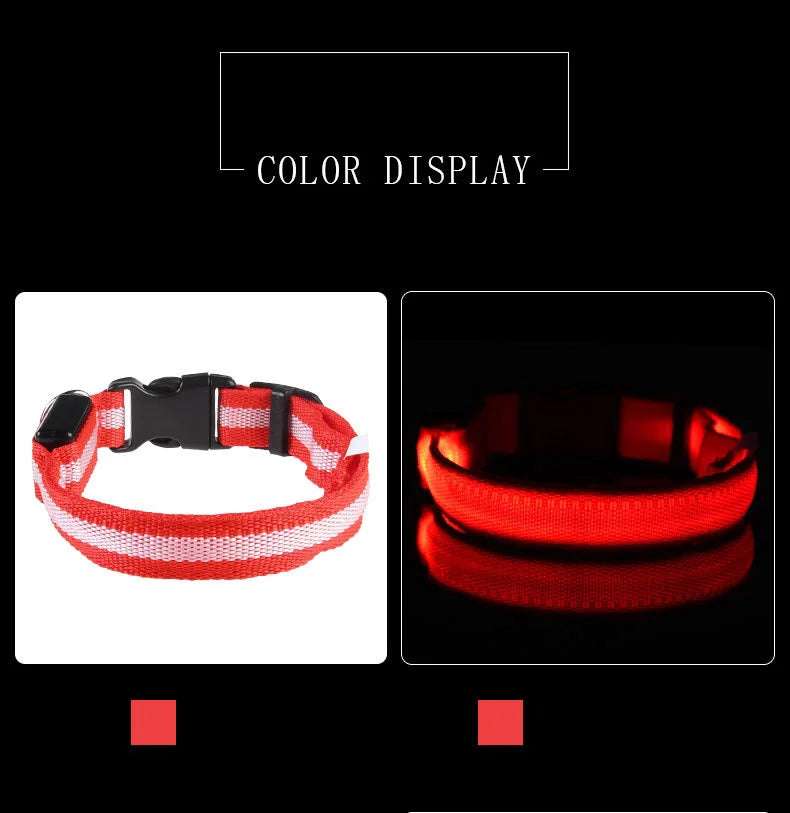 Coleira para cachorro com LED luminoso de noite