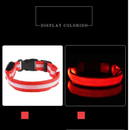 Coleira LED para Cachorro – Visibilidade Noturna e Segurança