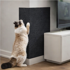 Adesivo Arranhador para Gatos 60x60cm Proteção de Sofás e Móveis com Carpete Premium