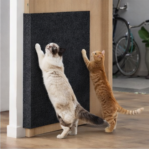 Adesivo Arranhador para Gatos 60x60cm Proteção de Sofás e Móveis com Carpete Premium